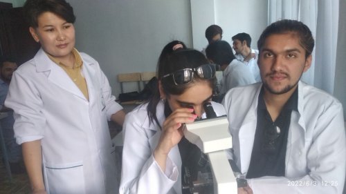 ЭМИУнун галереясы