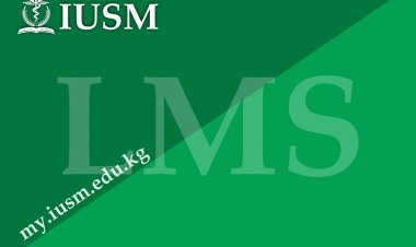 Learning Management System