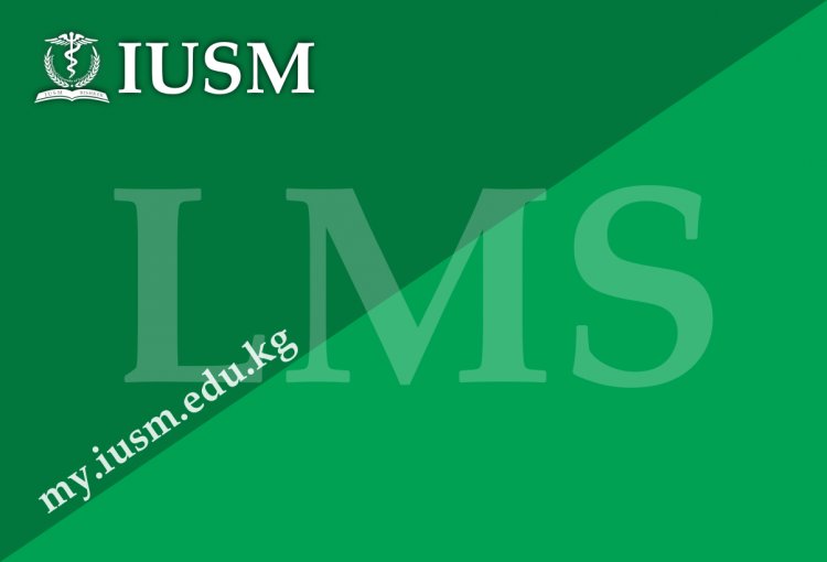 Learning Management System