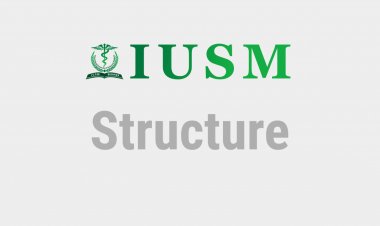 Structure of the IUSM