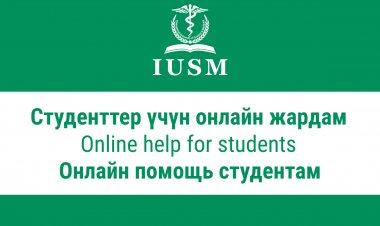 Онлайн помощь студентам